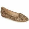 Betty London OVINOU Couleur Taupe -Betty London Soldes Magasin 19049557 500 A